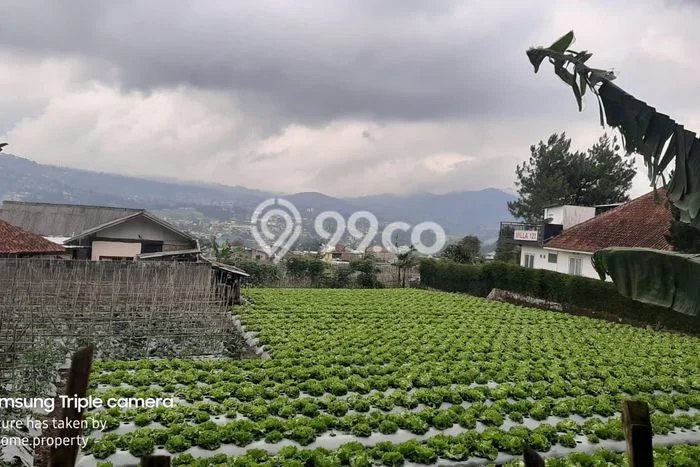 Kavling Tanah Dijual di Lembang Bandung Barat Spesifikasi 18195m2 Kavling Tanah Dijual di Lembang Bandung Barat Spesifikasi 18195m2