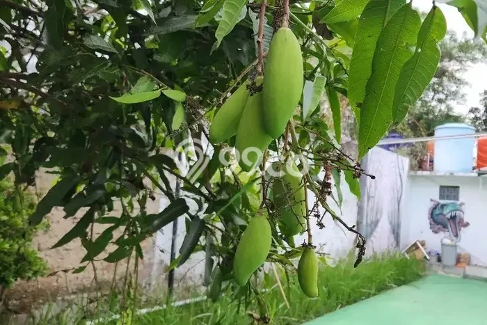 Disewakan Rumah Konsep Minimalis di Cimahi Utara Cimahi dengan 1 Kamar Disewakan Rumah Konsep Minimalis di Cimahi Utara Cimahi dengan 1 Kamar