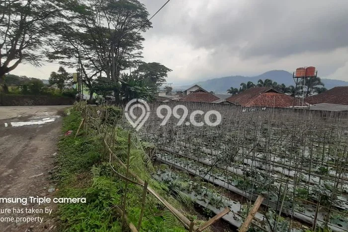 Kavling Tanah Dijual di Lembang Bandung Barat Spesifikasi 18195m2 Kavling Tanah Dijual di Lembang Bandung Barat Spesifikasi 18195m2