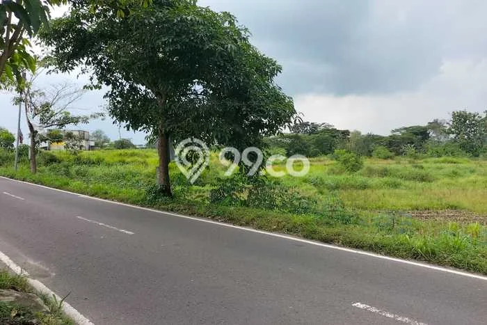 Untuk Dijual Tanah di Polanharjo Klaten Luas 2160m2 SHM Untuk Dijual Tanah di Polanharjo Klaten Luas 2160m2 SHM