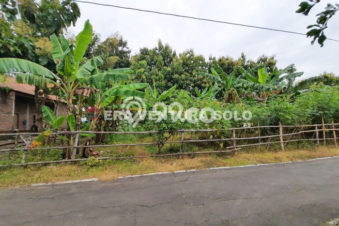 Jarang Ada! Tanah di Jaten Punya Luas 150m2 SHM Jarang Ada! Tanah di Jaten Punya Luas 150m2 SHM