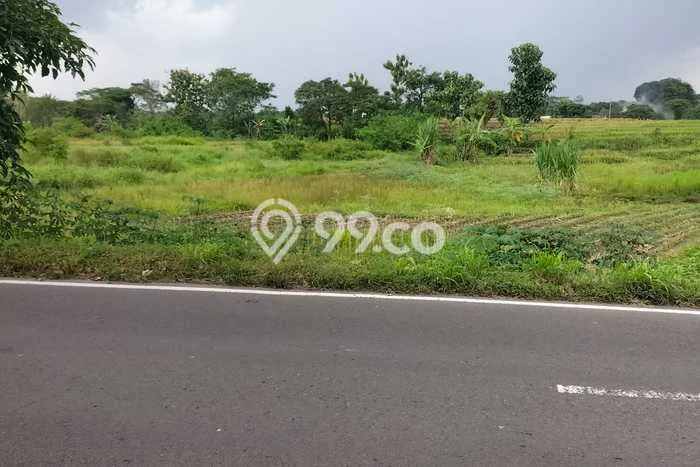 Tanah Strategis Dijual di Polanharjo Klaten 2160m2 Tanah Strategis Dijual di Polanharjo Klaten 2160m2