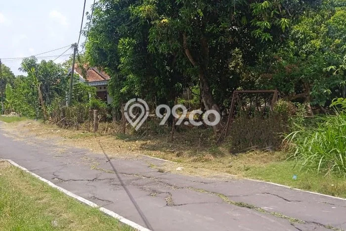 Tanah di Ngemplak, Boyolali Luas 2330m2 Dijual Segera Tanah di Ngemplak, Boyolali Luas 2330m2 Dijual Segera