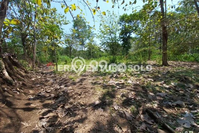 Tanah Siap Bangun Dijual di Boyolali Punya Luas 750m2 Tanah Siap Bangun Dijual di Boyolali Punya Luas 750m2