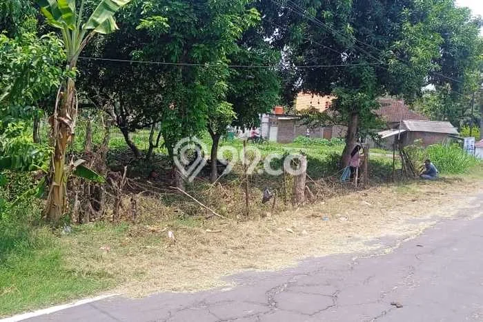 Tanah di Ngemplak, Boyolali Luas 2330m2 Dijual Segera Tanah di Ngemplak, Boyolali Luas 2330m2 Dijual Segera