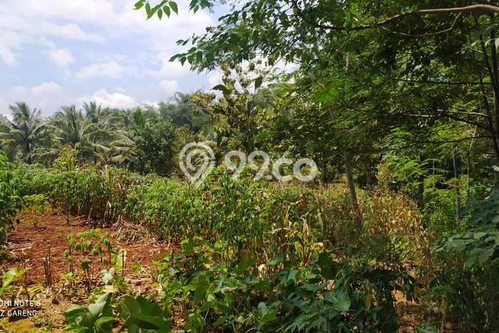 Kavling Tanah di Kerjo Dijual Luas 8265m2 Legalitas SHM Kavling Tanah di Kerjo Dijual Luas 8265m2 Legalitas SHM