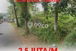 Tanah Investasi Dijual di Semarang Punya Luas 6444m2 Tanah Investasi Dijual di Semarang Punya Luas 6444m2