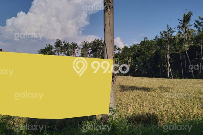 Tanah Kavling untuk Dijual di Giri Banyuwangi 4050m2 Tanah Kavling untuk Dijual di Giri Banyuwangi 4050m2