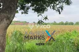 Tanah Kavling Dijual di Probolinggo dengan Spesifikasi 67000m2 Tanah Kavling Dijual di Probolinggo dengan Spesifikasi 67000m2