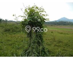 Tanah Dijual Lokasi Rumpin, Bogor Luas 20997m2 Legalitas Aman Tanah Dijual Lokasi Rumpin, Bogor Luas 20997m2 Legalitas Aman