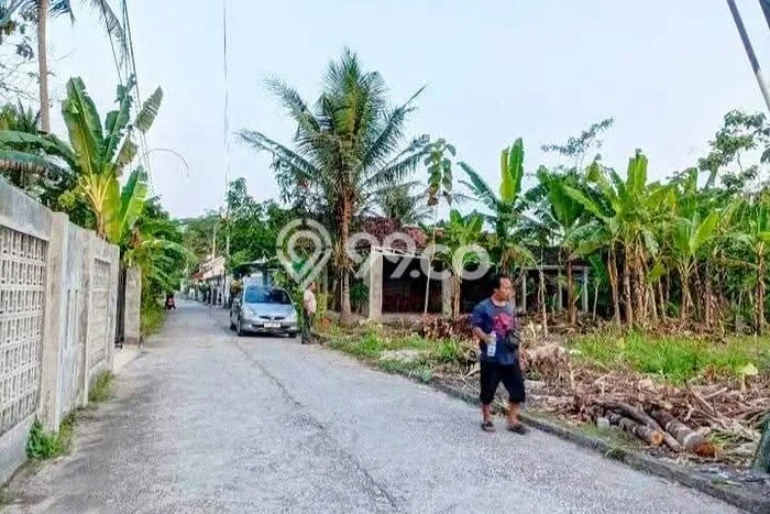 Tanah Kavling untuk Dijual di Sedayu Bantul 150m2 Tanah Kavling untuk Dijual di Sedayu Bantul 150m2
