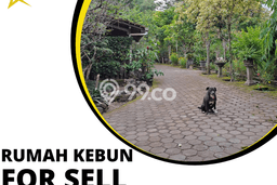 Jual Rumah Mewah Elegan Dengan View Cantik di Bantul, Yogyakarta Jual Rumah Mewah Elegan Dengan View Cantik di Bantul, Yogyakarta