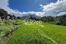 Dijual Tanah Lokasi Bandung Timur, Bandung Seluas 6732m2 Dijual Tanah Lokasi Bandung Timur, Bandung Seluas 6732m2