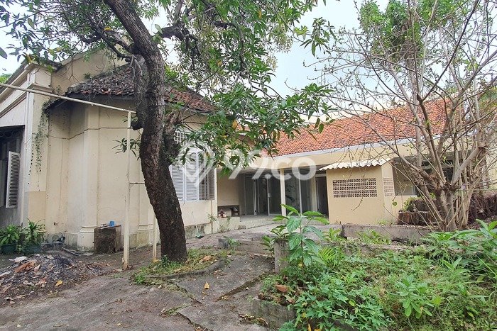 Disewakan Rumah Bagus di Tegalsari Harga Rp 650 Juta/ Tahun Disewakan Rumah Bagus di Tegalsari Harga Rp 650 Juta/ Tahun