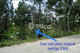 Tanah Kavling di Pacet Dijual dengan Luas 15000m2 Tanah Kavling di Pacet Dijual dengan Luas 15000m2