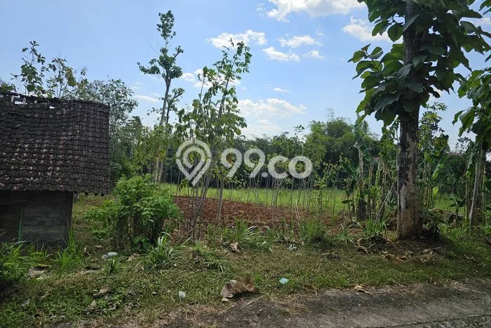 Dijual Tanah di Mojogedang Karanganyar Luas 3358m2 SHM Dijual Tanah di Mojogedang Karanganyar Luas 3358m2 SHM