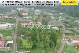 Lahan untuk Dijual Lokasi Ngargoyoso, Karanganyar Luas 4460m2 SHM Lahan untuk Dijual Lokasi Ngargoyoso, Karanganyar Luas 4460m2 SHM