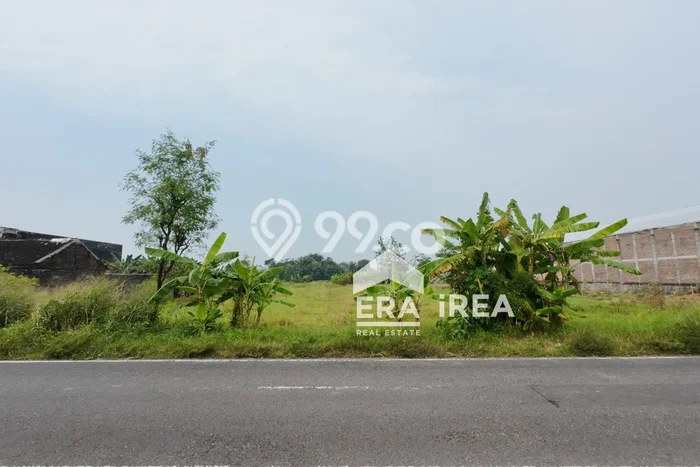 Tanah Kosong Dijual di Klaten dengan Area 2325m2 Tanah Kosong Dijual di Klaten dengan Area 2325m2