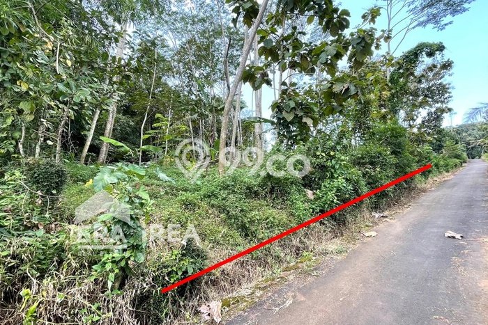 Lahan Kosong Dijual di Boyolali dengan Area 1400m2 Lahan Kosong Dijual di Boyolali dengan Area 1400m2