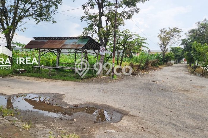 Tanah Dijual Lokasi Kalijambe, Sragen Luas 2000m2 Legalitas Aman Tanah Dijual Lokasi Kalijambe, Sragen Luas 2000m2 Legalitas Aman