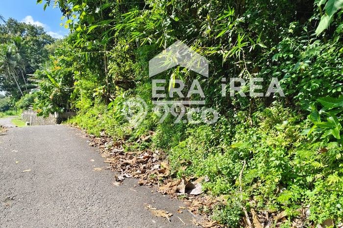 Tanah Lokasi Strategis di Pengasih, Luas 1365m², Akses ke Pusat Kota Tanah Lokasi Strategis di Pengasih, Luas 1365m², Akses ke Pusat Kota