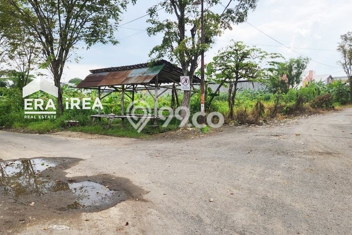Tanah Dijual Lokasi Kalijambe, Sragen Luas 2000m2 Legalitas Aman Tanah Dijual Lokasi Kalijambe, Sragen Luas 2000m2 Legalitas Aman
