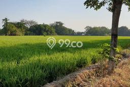 Tanah Dijual Lokasi Tawangmangu, Solo Luas 20776m2 Legalitas Aman Tanah Dijual Lokasi Tawangmangu, Solo Luas 20776m2 Legalitas Aman