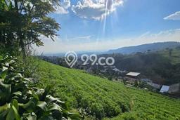 Untuk Dijual Tanah di Ngargoyoso Karanganyar Luas 9160m2 SHM Untuk Dijual Tanah di Ngargoyoso Karanganyar Luas 9160m2 SHM