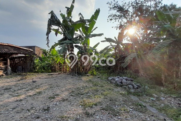 Kavling Tanah di Gondangrejo Dijual Luas 302m2 Legalitas - Kavling Tanah di Gondangrejo Dijual Luas 302m2 Legalitas -