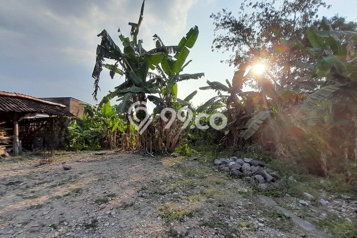 Kavling Tanah di Gondangrejo Dijual Luas 302m2 Legalitas - Kavling Tanah di Gondangrejo Dijual Luas 302m2 Legalitas -