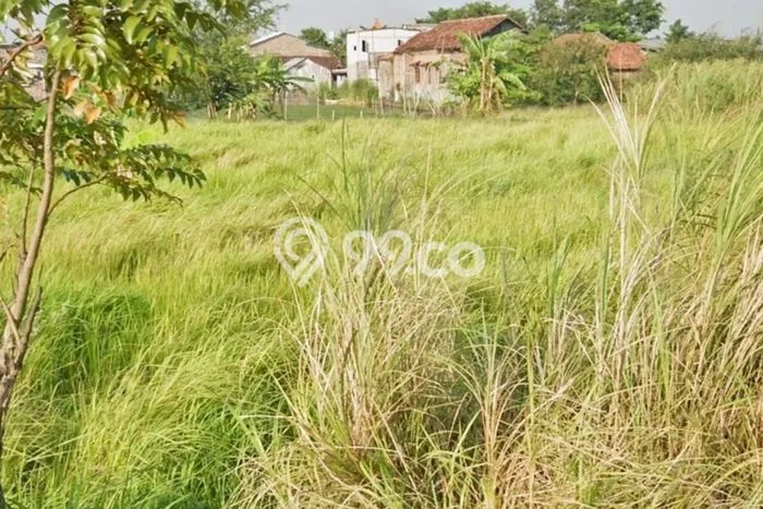 Tanah Investasi Dijual di Semarang Punya Luas 13897m2 Tanah Investasi Dijual di Semarang Punya Luas 13897m2