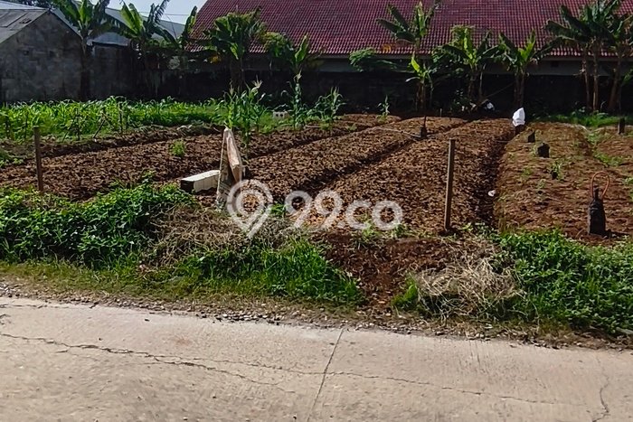Tanah Dijual Lokasi Rangkapanjaya Depok SHM Tanah Dijual Lokasi Rangkapanjaya Depok SHM