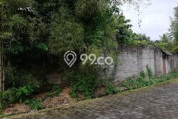 Tanah Investasi Dijual di Denpasar Punya Luas 2280m2 Tanah Investasi Dijual di Denpasar Punya Luas 2280m2