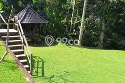 DIJUAL CEPAT! Rumah Siap Huni Area Strategis Petang, LT 11100m2m² Bangunan 500m2m² DIJUAL CEPAT! Rumah Siap Huni Area Strategis Petang, LT 11100m2m² Bangunan 500m2m²