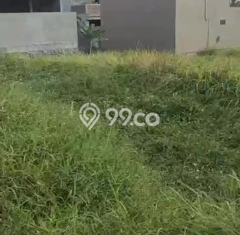 Tanah Disewa Strategis di Badung Luas 1500m2 Tanah Disewa Strategis di Badung Luas 1500m2