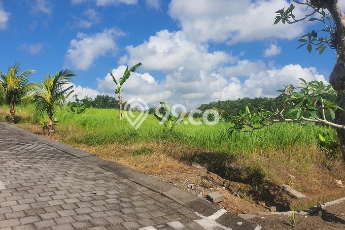Tanah di Kerambitan, Tabanan Luas 400m2 Dijual Segera Tanah di Kerambitan, Tabanan Luas 400m2 Dijual Segera