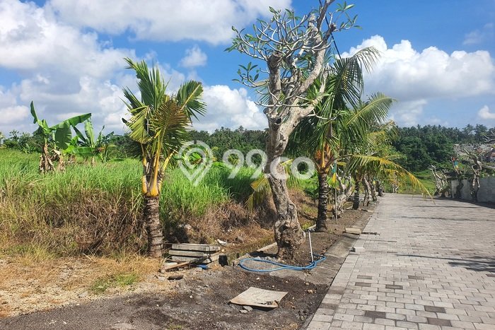 Tanah di Kerambitan, Tabanan Luas 400m2 Dijual Segera Tanah di Kerambitan, Tabanan Luas 400m2 Dijual Segera
