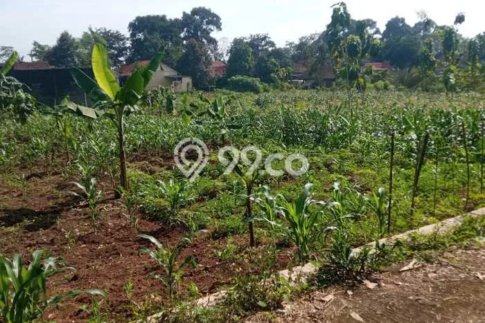 Tanah di Ungaran Timur, Semarang Luas 4014m2 Dijual Segera Tanah di Ungaran Timur, Semarang Luas 4014m2 Dijual Segera