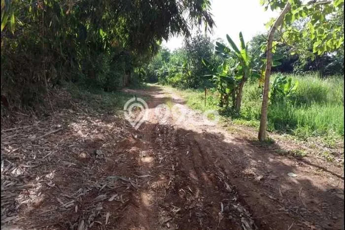Tanah Dijual di Purwakarta Seluas 40000m2 Strategis Tanah Dijual di Purwakarta Seluas 40000m2 Strategis