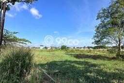 Untuk Dijual Tanah di Klaten Tengah Klaten Luas 11010m2 SHM Untuk Dijual Tanah di Klaten Tengah Klaten Luas 11010m2 SHM