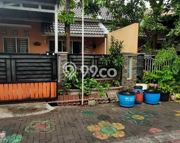 Hunian Terjangkau LT 97m2 di Plamongan Lingkungan Asri Hunian Terjangkau LT 97m2 di Plamongan Lingkungan Asri