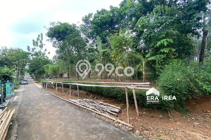 Kavling Tanah di Mojogedang Dijual Luas 1998m2 Legalitas SHM Kavling Tanah di Mojogedang Dijual Luas 1998m2 Legalitas SHM