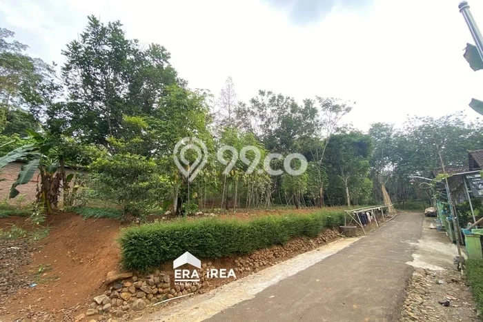 Kavling Tanah di Mojogedang Dijual Luas 1998m2 Legalitas SHM Kavling Tanah di Mojogedang Dijual Luas 1998m2 Legalitas SHM