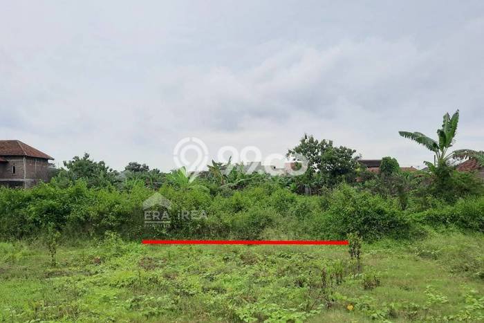 Tanah Murah Meriah di Sapen Mojolaban Solo Tanah Murah Meriah di Sapen Mojolaban Solo