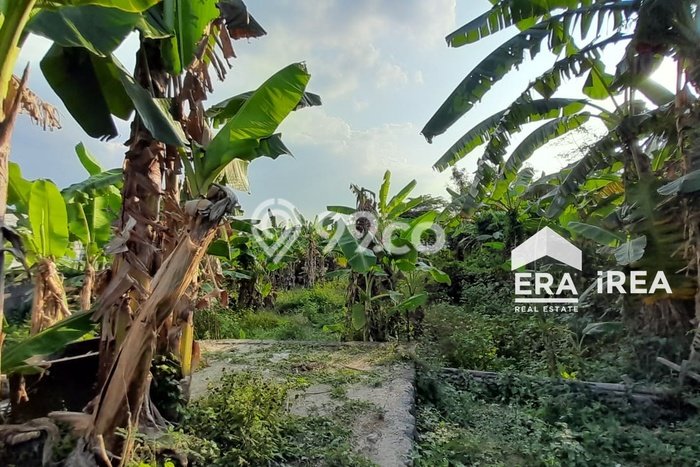 Tanah Kavling untuk Dijual di Gondangrejo Karanganyar 302m2 Tanah Kavling untuk Dijual di Gondangrejo Karanganyar 302m2