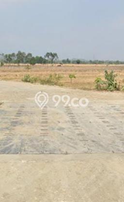 Lahan Dijual Lokasi Brebes, Brebes dengan Luas Tanah 120000m2 dan Status - Lahan Dijual Lokasi Brebes, Brebes dengan Luas Tanah 120000m2 dan Status -