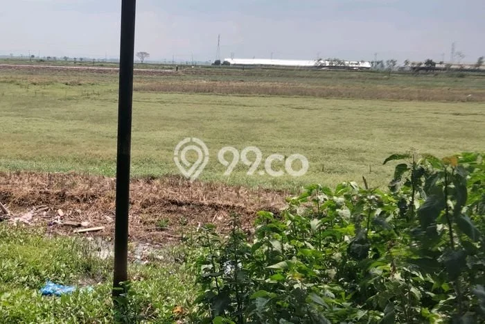 Tanah untuk Dijual di Brebes Brebes Luas 50000m2 Tanah untuk Dijual di Brebes Brebes Luas 50000m2