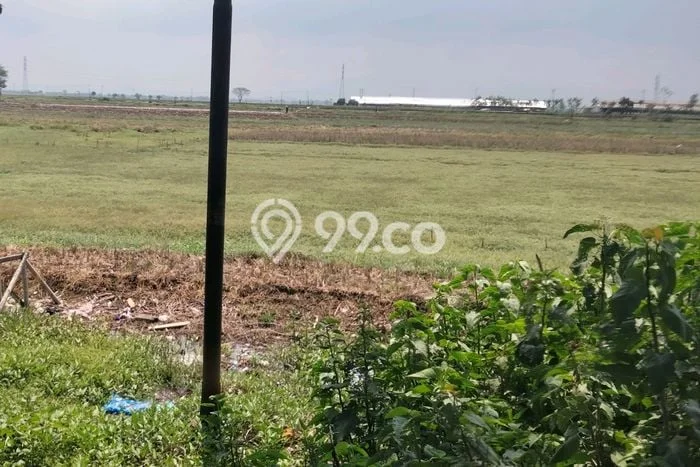 Tanah untuk Dijual di Brebes Brebes Luas 50000m2 Tanah untuk Dijual di Brebes Brebes Luas 50000m2