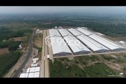 Jarang Ada! Tanah di Pekalongan Barat Punya Luas 300000m2 SHM Jarang Ada! Tanah di Pekalongan Barat Punya Luas 300000m2 SHM