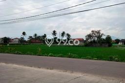Kavling Tanah Dijual di Majalaya Bandung Spesifikasi 60000m2 Kavling Tanah Dijual di Majalaya Bandung Spesifikasi 60000m2